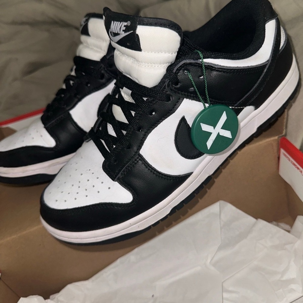 Dunks - Picture 4 of 8